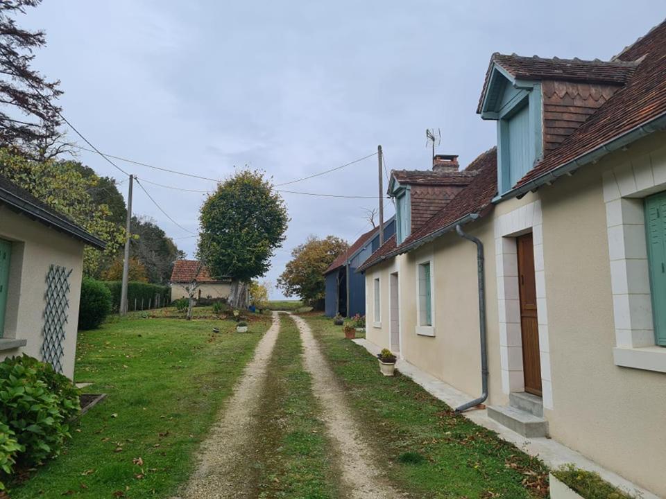 فيلا Le Domaine Du Bengal A 2 Pas De Beauval Veuil المظهر الخارجي الصورة